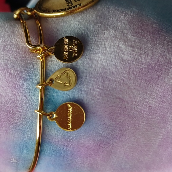 Capricorn Celestial Wheel expandable bangle by Alex and Ani RARE/DISCONTINUED - Picture 8 of 12